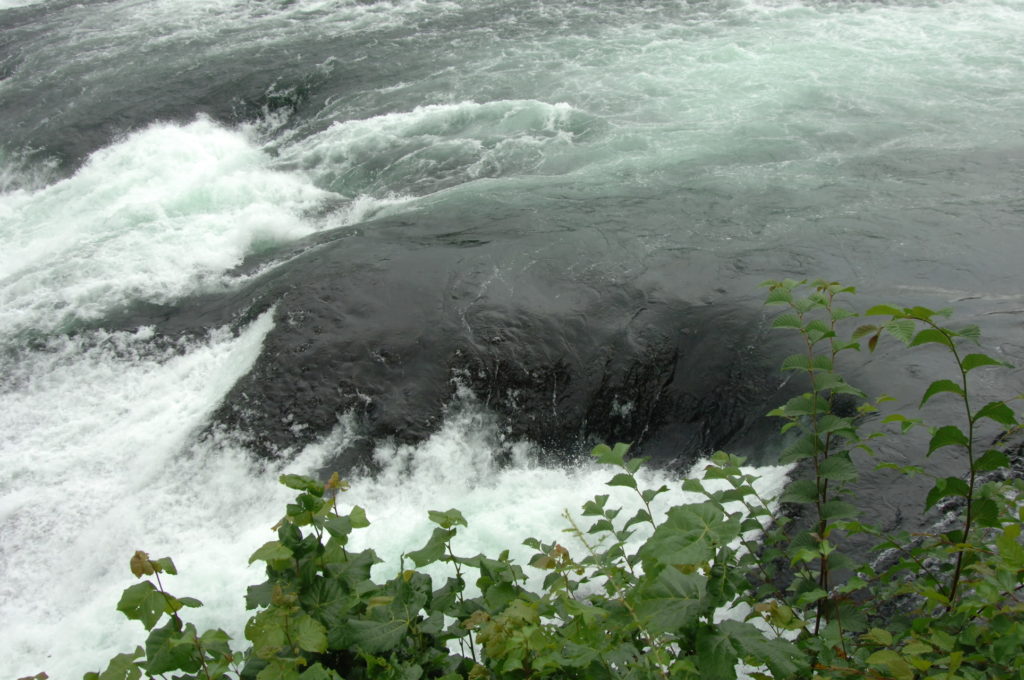 Merkblatt Limnologie Wissensplattform SWO